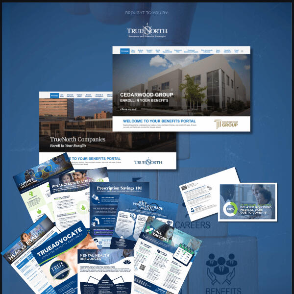 TrueNorth Companies' communication materials and microsites (portals).