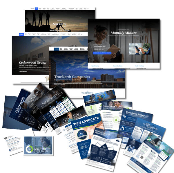 TrueNorth Companies portfolio pieces TrueNorth Companies' communication materials and microsites (portals).